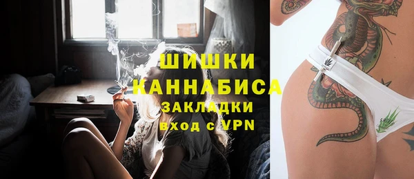 тгк Абаза