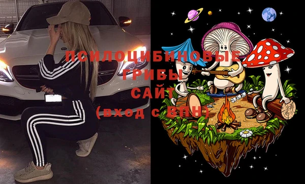 тгк Абаза