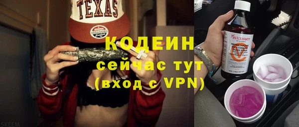 хмурый Дмитровск