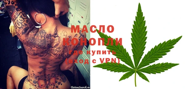 тгк Абаза