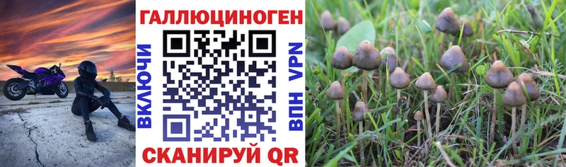 МЕГА tor  как найти закладки  Карталы  Псилоцибиновые грибы прущие грибы 